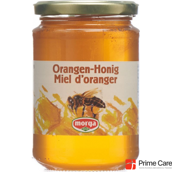 Morga Orangen Honig Glas 500g buy online