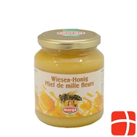 Morga Wiesen-Honig Glas 500g