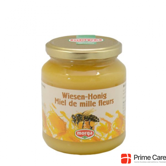 Morga Wiesen-Honig Glas 500g buy online