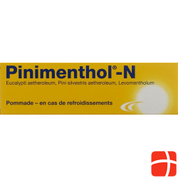 Pinimenthol N Salbe Tube 40g