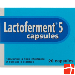 Lactoferment Kapseln 20 Stück