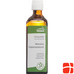 Spagyrik Aesculus Hippocastanum 500ml