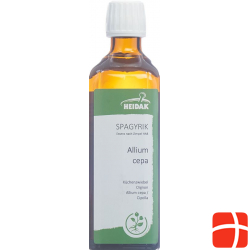 Spagyrik Allium Cepa 500ml