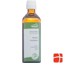 Spagyrik Arnica Montana 500ml