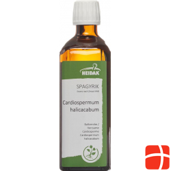 Spagyrik Cardiospermum 500ml