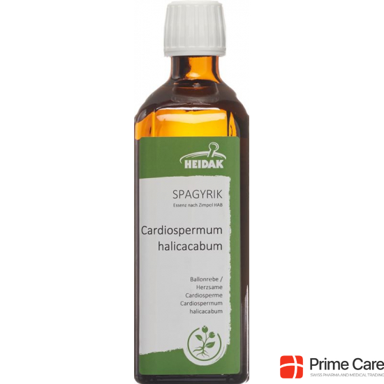 Spagyrik Cardiospermum 500ml buy online