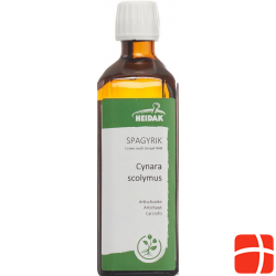 Spagyrik Cynara Scolymus 500ml