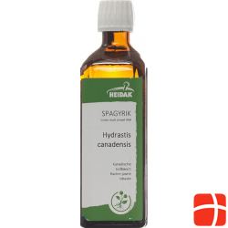 Spagyrik Hydrastis Canadensis 500ml