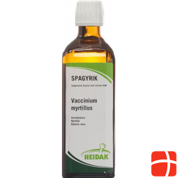 Spagyrik Vaccinium Myrtillus 500ml