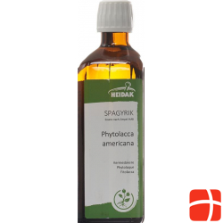 Spagyrik Phytolacca Decandra 500ml