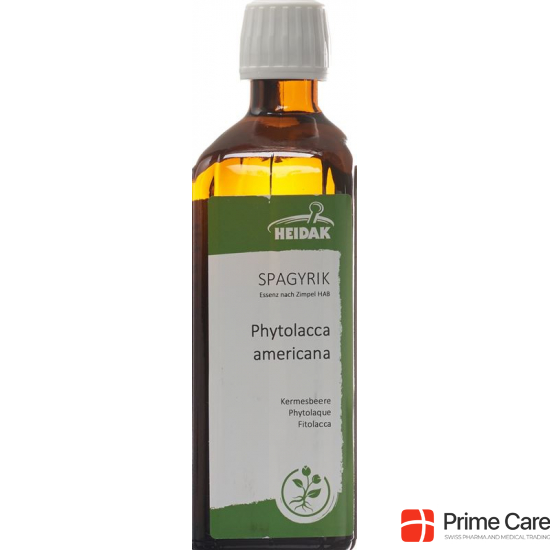 Spagyrik Phytolacca Decandra 500ml buy online