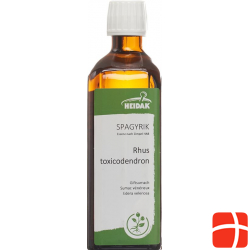 Spagyrik Rhus Toxicodendron 500ml