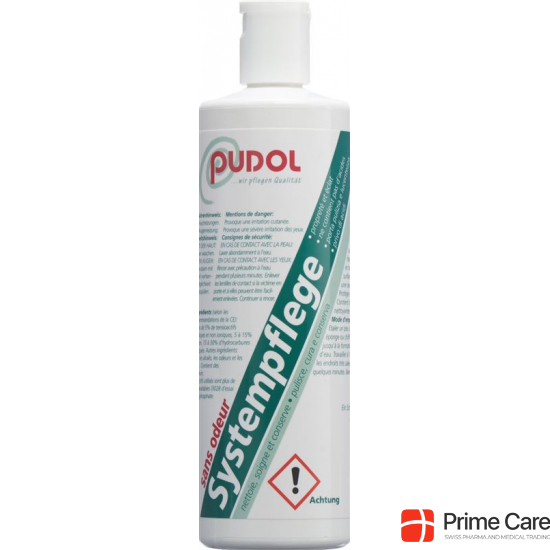 Pudol Systempflege Geruchlos 400g buy online