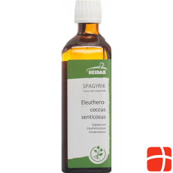 Spagyrik Eleutherococcus 500ml