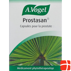 Prostasan 90 Kapseln