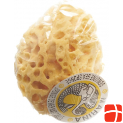 Marina natural sponge Venise 14cm