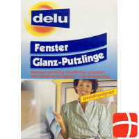 Delu Fensterglanz Putzlinge