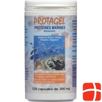 Protagel Complex Acides Amines Dose 120 Stück