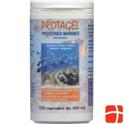 Protagel Complex Acides Amines Dose 120 Stück