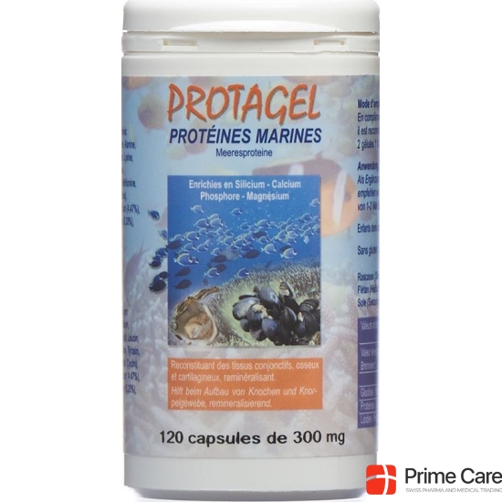 Protagel Complex Acides Amines Dose 120 Stück buy online