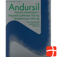 Andursil 24 Kautabletten