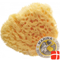 Marina natural sponge Venise 20cm