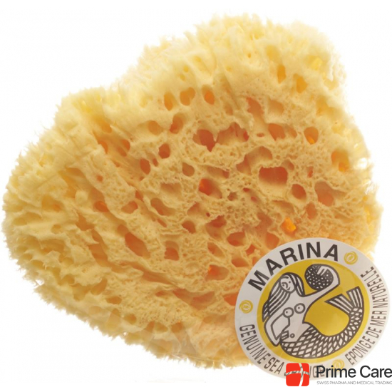 Marina natural sponge Venise 20cm buy online