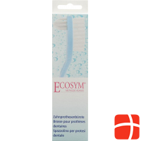 Ecosym denture brush