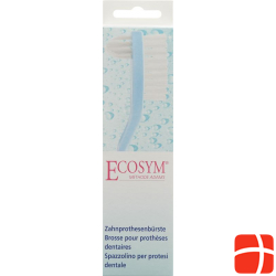 Ecosym denture brush