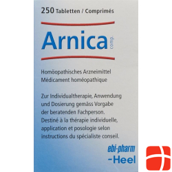 Arnica Comp Heel Tabletten 250 Stück