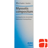 Myosotis Comp Heel Tropfen Flasche 30ml