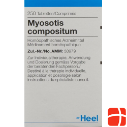 Myosotis Comp Heel Tabletten 250 Stück