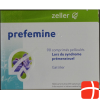 Prefemin Filmtabletten 90 Stück