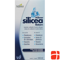 Huebner Silicea Balsam Liquid Flasche 500ml