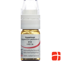 Omida Hypericum Globuli D 12 Dosierhilfe 4g