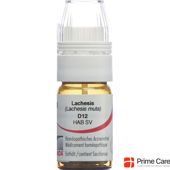 Omida Lachesis Globuli D 12 Dosierhilfe 4g buy online