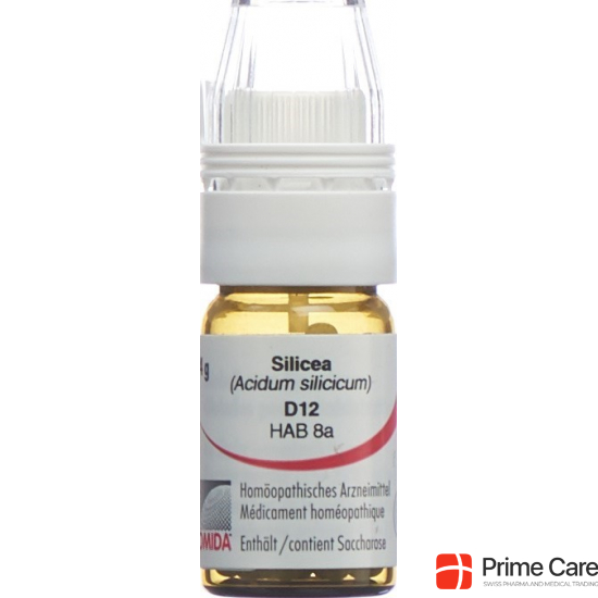 Omida Silicea Globuli D 12 Dosierhilfe 4g buy online