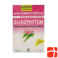 Holistica Oligophyt Magnesium Granulat 3x1 Dos