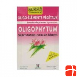 Holistica Oligophyt Magnesium Granulat 3x1 Dos