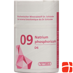 Phytomed Schüssler Nr. 9 Natr Phos Tabletten D 6 100g