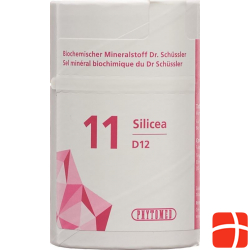 Phytomed Schüssler Nr. 11 Silicea Tabletten D 12 100g