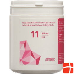 Phytomed Schüssler Nr. 11 Silicea Tabletten D 12 500g