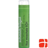 Sn Nux Moschata Granulat Ch 5 4g