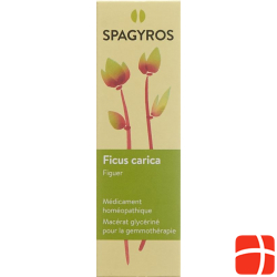 Spagyros Gemmo Ficus Carica Glyc Maz D 1 30ml