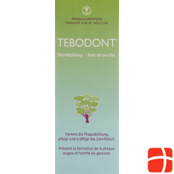 Tebodont Mouthwash 400ml