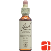 Bachblüten Chestnut Bud Nr. 7 Flüssig 20ml