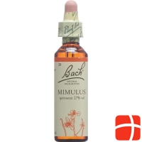Bachblüten Mimulus Nr. 20 Flüssig 20ml