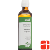 Spagyrik Berberis Vulgaris 500ml