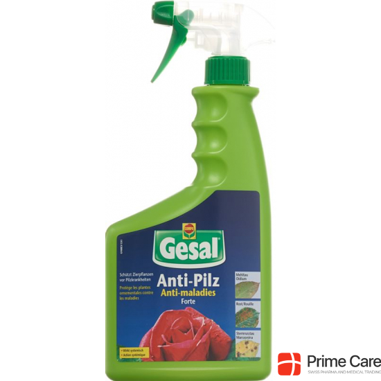 Gesal Anti Pilz Forte Spray 750ml buy online