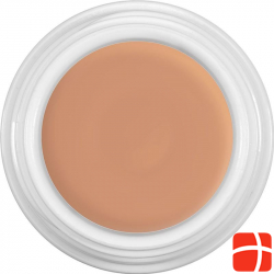 Dermacolor Camouflage Creme D55 Dose 4ml